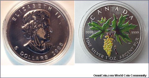 Big Leaf Dollar

Mintage: 27,000
31.39 grams
38 mm diameter
