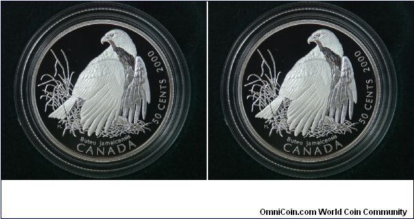 50 Cent Silver Set-Birds of Prey

Red Tailed Hawk