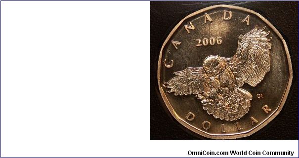 Snowy Owl Dollar Coin
from 2006 Collector Set