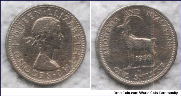 Rhodesia and Nyasaland, 1 shilling, 1956