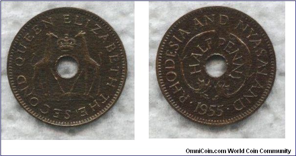 Rhodesia and Nyasaland, 1/2 penny, 1955, bronze