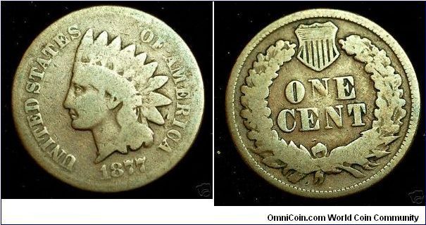 1877 Indian Head Cent.  Second to my 1888/1887.  This too fits in well with my 1859-1880 Indian Head Cents.