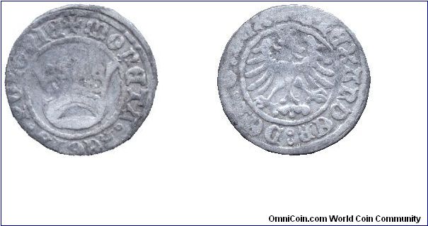 Poland, 1/2 grosz, no date, Ag, Alexander I (1501-1506), MONETA REGIS POLONIE ALEXANDER DEI G REX.                                                                                                                                                                                                                                                                                                                                                                                                                  