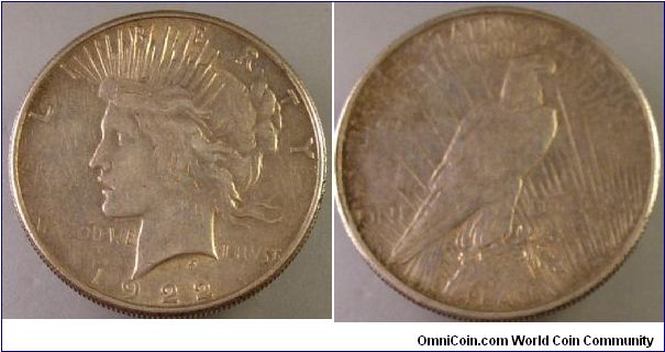 1922 s Peace dollar
(Bulk silver)