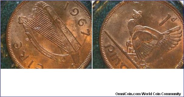 1967 penny ireland hen and chick
