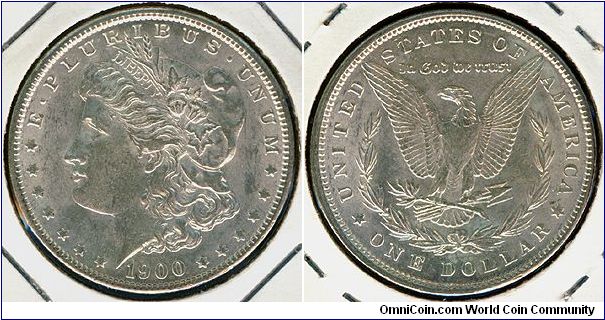 USA 1 dollar 1900(P)