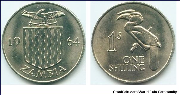 Zambia, 1 shilling 1964.
Crowned Hornbill.