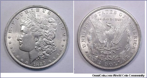 1 Morgan Dollar

Silver