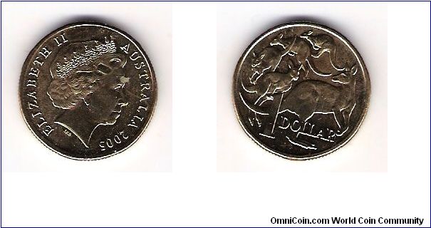 2005 $1.00 Aussie coin