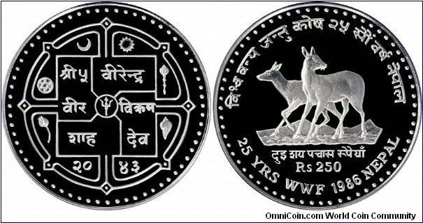 Musk Deer on Reverse of 2043 (Nepalese Calendar) / 1986 250 rupees silver proof crown, part of WWF set.