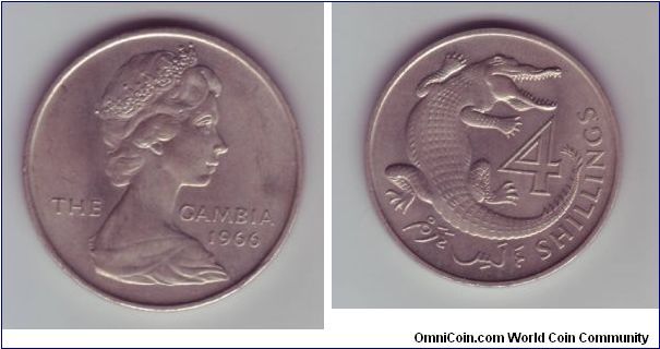 The Gambia - 4 Shillings - 1966

Rather strange value for a coin, especially seeing as the Double Florin (Four Shilling) coin flopped so badly in the UK.

This coin seems to be from the final year that coins with the Queen's portrait were produced before independance.

This design is still used on the 1 Dalasi coin