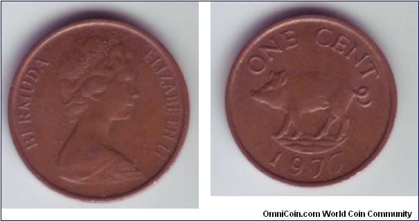 Bermuda - 1c - 1977

Coin from Bermuda depicting a local pig/boar.

This issue has the Type 2 head