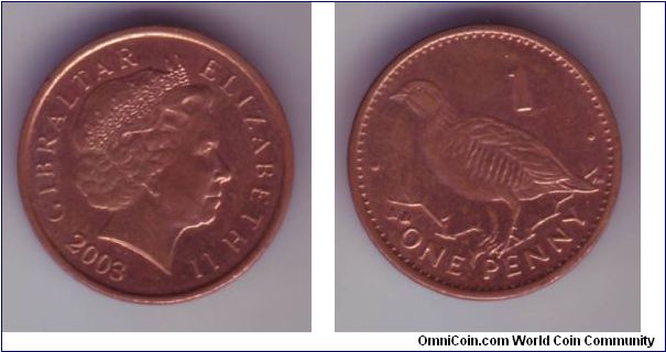 Gibraltar - 1p - 2003

1p coin, showing  a bird on the reverse and the Type 4 head on the front