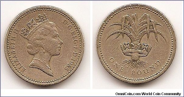 1 Pound
KM#941
9.5000 g., Nickel-Brass, 22.5 mm. Ruler: Elizabeth II Obv:
Crowned head right Rev: Welsh leek, crown encircles, PLEIDIOL
WYF I'M GWLAD
