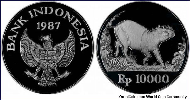 Babirusa (pig similar to warthog) on reverse of 1987 Indonesian silver proof 10,000 rupiah. Part of an International World Wildlife Fund collection issued in 1986/7.