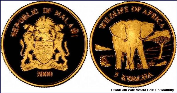 The last for now of our 'big things on small coins'. An African elephant on a Malawian gold proof 5 Kwacha.