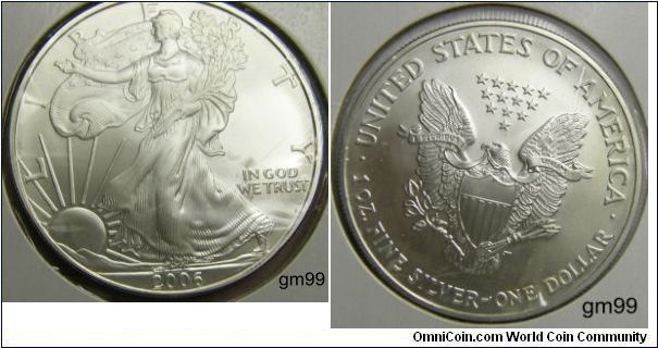 2006P American Eagle Silver Dollar Coin
1 oz. fine silver.