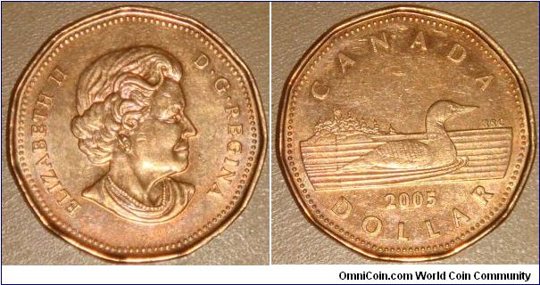 Canada, 1 dollar, 2005 (2003-2006) Regulation Coin Loonie