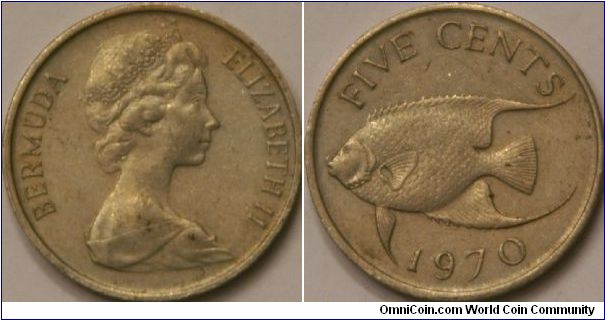 5 cents, Queen angel fish, 21 mm, Cu-Ni