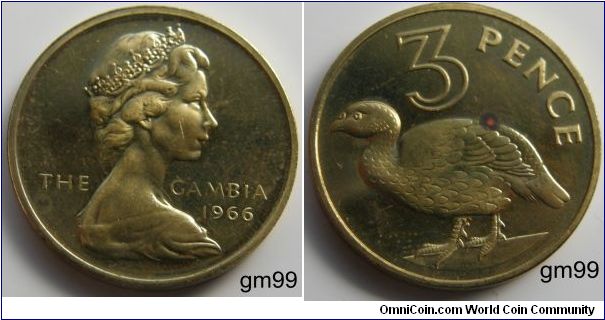 3 pence, 1966, Aluminium bronze.
 Queen Elizabeth II's portrait on the obverse. Reverse:
Double-spurred francolin