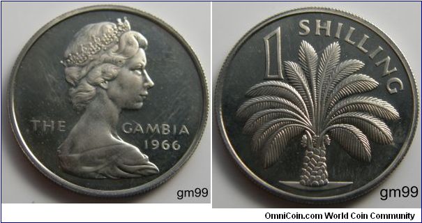 1 shilling, 1966, Cupronickel. 
Queen Elizabeth II's portrait on the obverse. Reverse:Oil palm