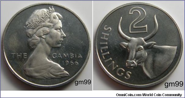 2 shillings, 1966, Cupronickel. 
Queen Elizabeth II's portrait on the obverse. Reverse: African domestic ox