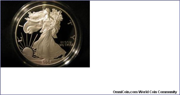 2004 Proof ASE in mint case. Forgot to take reverse pic. :(