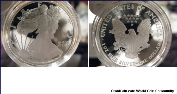 2006 Proof Eagle. From the 2006 ASE 20th Anniversary Set. :-)