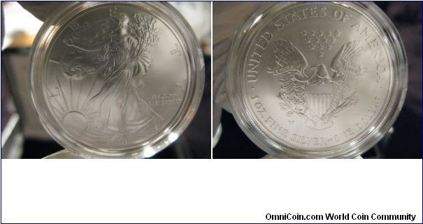 2006 Burnished Eagle. From the 2006 ASE 20th Anniversary Set. :-)