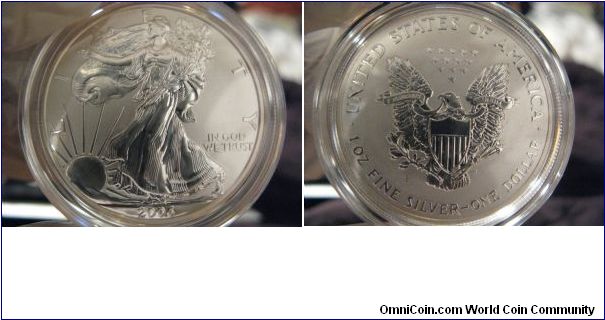 2006 REVERSE Proof Eagle. From the 2006 ASE 20th Anniversary Set. :-)