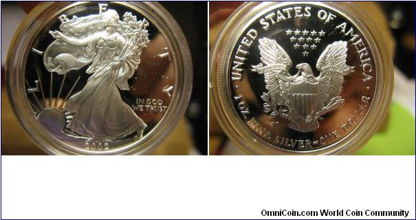 2002 Proof ASE. I finally bought it. :-)