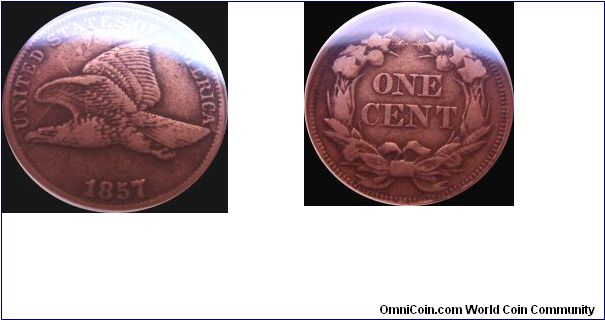 1857 Flying Eagle Cent
Clash with 50 Cent Piece
