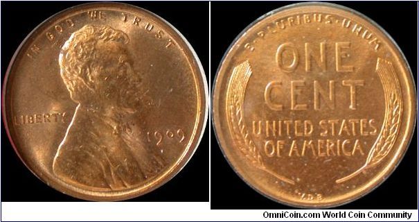 1909 VDB Lincon cent Doubled Die Obverse 1