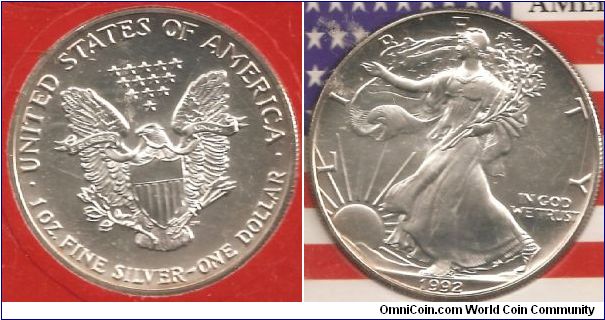 Silver Eagle Dollar