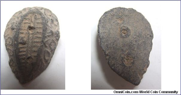 High grade Pottrey shell coin variety B,Zhou Dynasty,it has 21.5mm diameter,weight 1.3g.