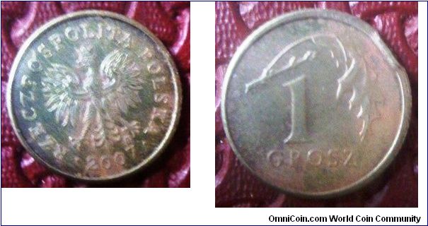 2007 1 Groszy Brass coin 15.5mm diameter