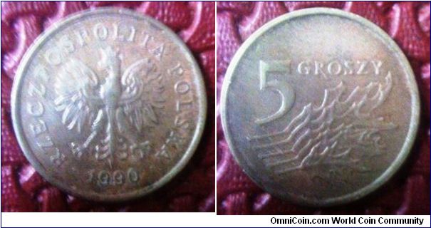 Poland 1990 5Groszy brass coin 19.5mm diameter