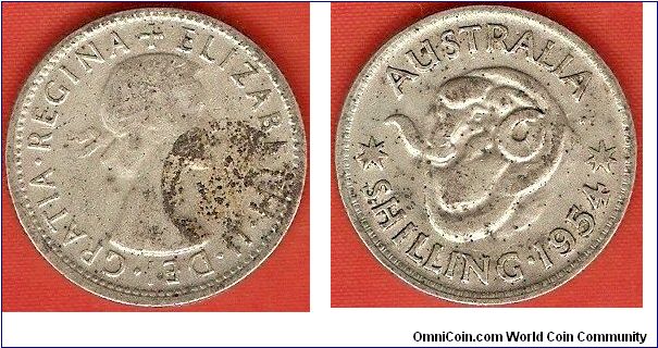 1 shilling
Elizabeth II by Mary Gillick (glue spot)
ram's head
0.500 silver
Melbourne Mint