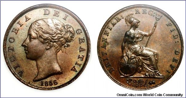 GREAT BRITAIN VICTORIA 1856 1/2-Penny NGC MS/66 BN. The obverse shows signs of doubling. The chin and forehead also show very strong doubling. A magnificent and finest specimen.