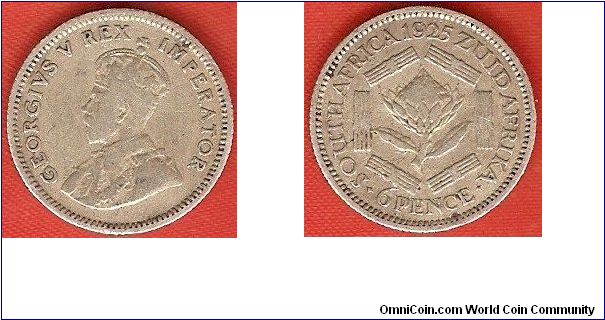 6 pence
George V, king and emperor
protea flower
0.800 silver
mintage 79,000