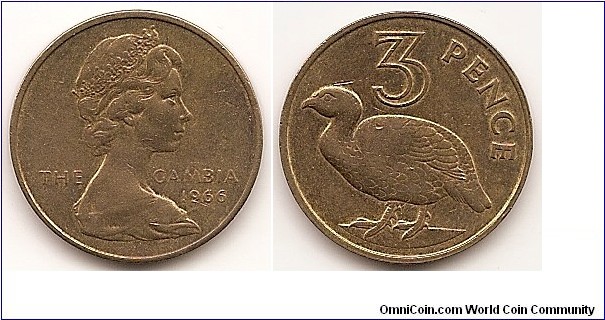 3 Pence
KM#2
Nickel-Brass, 21.5 mm. Obv: Young bust right Rev: Double-spurred francolin, denomination above Edge: Smooth