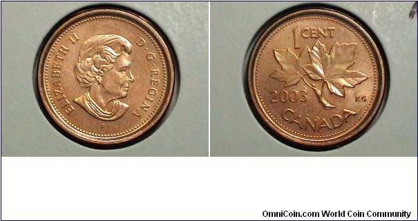 Canada 2003-P 1 Cent New Obv KM# 289 