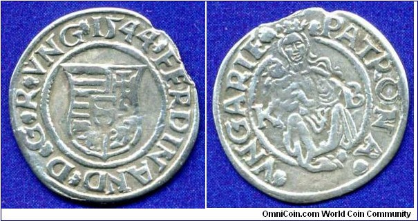 1 Denar.
Kingdom of Hungary.
Ferdinand I, Habsburg, King of Hungary (1526-1564), and Emperor of Holy Roman Empire (1556-1564).
*KB*- Kremnitz mint.


Ag.