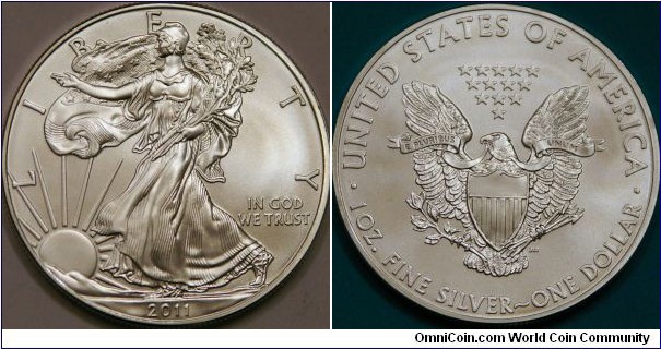 American Eagle (Walking Liberty) silver bullion coin.  40mm