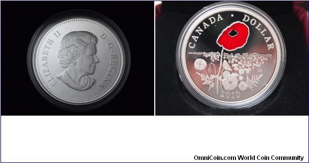 Limited Edition Proof Silver Dollar - Poppy