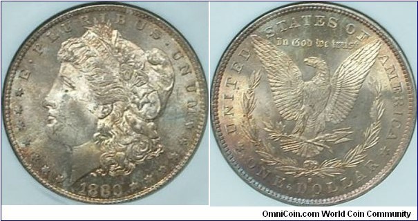 1880-O NGC MS64 toned morgan silver dollar