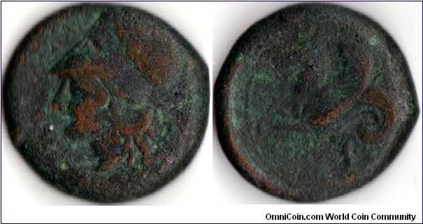 Copper trias froim Syracuse circa 400-345 BC. Obverse Athena; reverse hypocamp. Coin has seen better days!