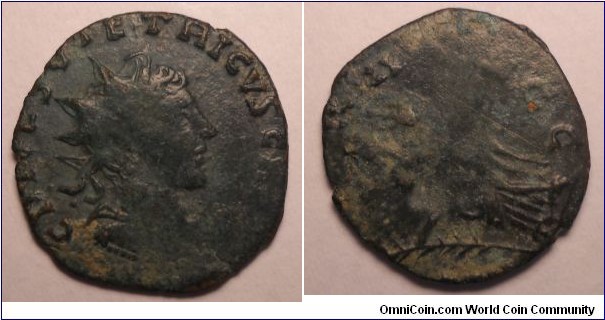 Barbarous Tetricus II AE Antoninianus. C PIV ESV TETRICVS CAES, radiate head right / PAX AVG, Pax standing left holding branch & sceptre