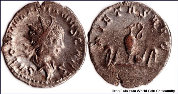 Saloninus as Caesar (younger brother of Valerian II), base silver antoninianus. Obverse radiant and dsraped bust of Saloninus. Reverse `PIETAS AUG' sacrificial instruments.